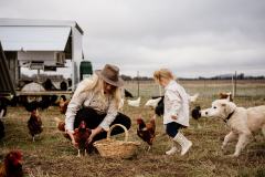 Farm Branding Photography - Oakley Farm