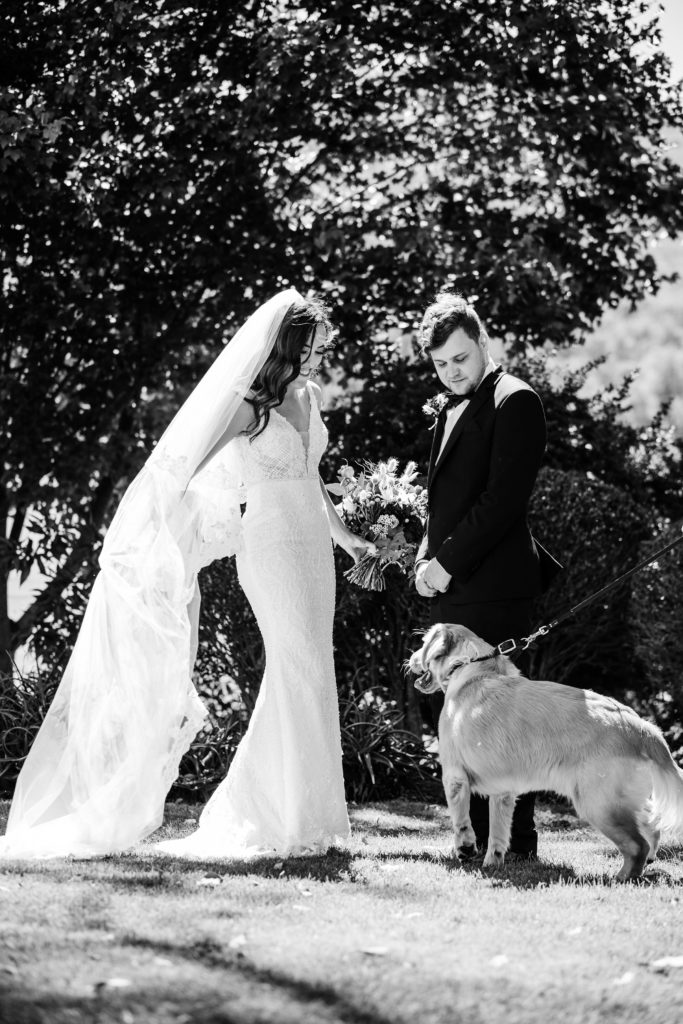 Wedding Couple and Dog