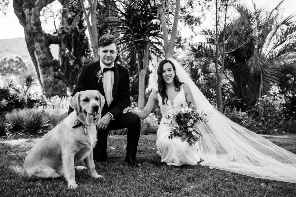 Weddings with your pet